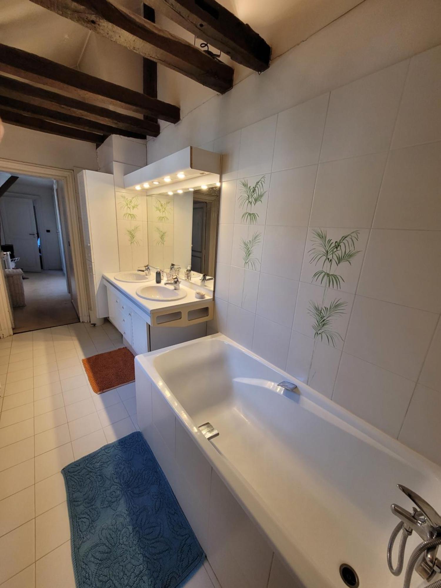 Saint-Eusebe Mansion - Hotel Particulier St-Eusebe オセール エクステリア 写真