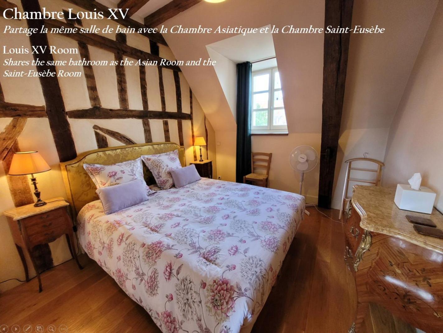Saint-Eusebe Mansion - Hotel Particulier St-Eusebe オセール エクステリア 写真