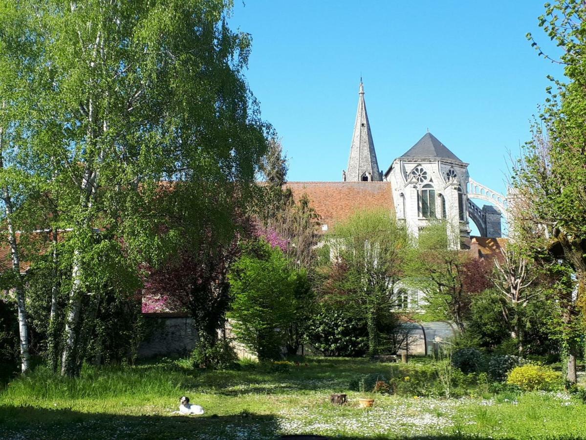 Saint-Eusebe Mansion - Hotel Particulier St-Eusebe オセール エクステリア 写真