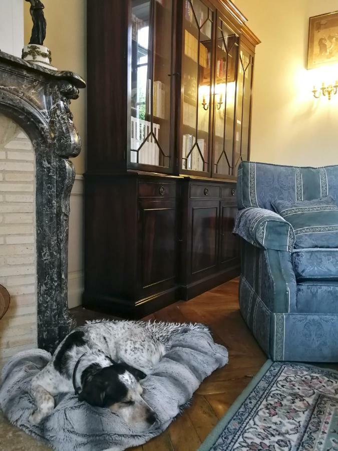 Saint-Eusebe Mansion - Hotel Particulier St-Eusebe オセール エクステリア 写真